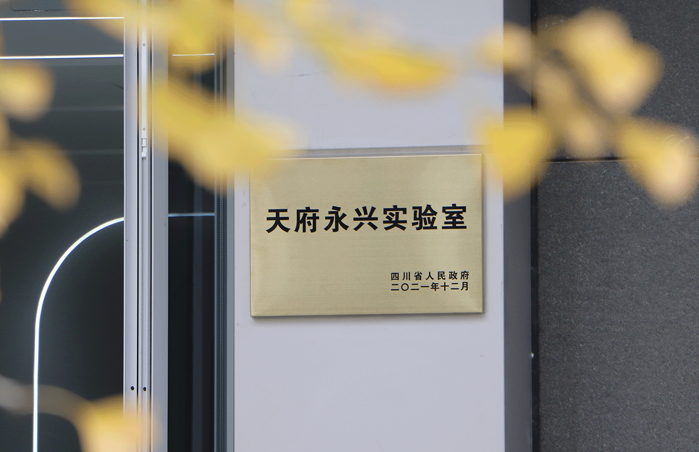 Remain True to Our Original Aspiration and Strive Forward Relentlessly | Memorabilia of Tianfu Yongxing Laboratory in 2022